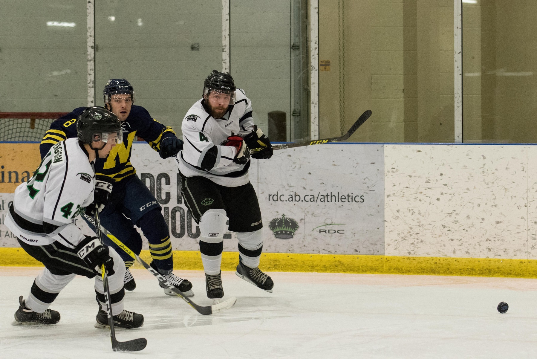 Scott Ferguson (42) and Mike Statchuk (4) take control in the defensive zone.