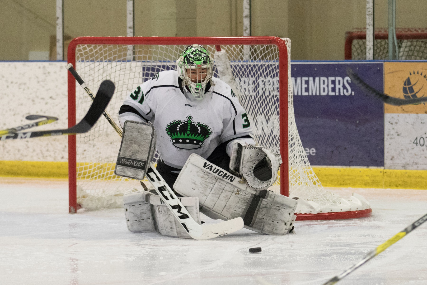 Mike Salmon (31) turned aside 22-of-23 shots and earned the win in net Saturday against the Vikings. Photo - Tony Hansen